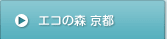 �G�R�̐X ���s